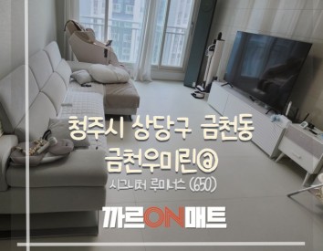 청주시 금천우미린@//시그니처 루미너스(650)