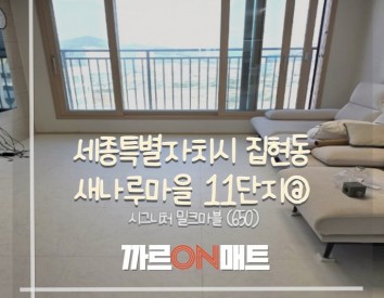 세종특별자치시 새나루마을11단지@//시그니처 밀크마블