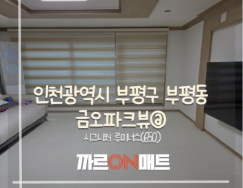 인천광역시 금오파크뷰@//시그니처 루미너스(650)