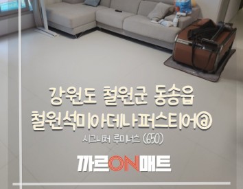 강원 철원군 철원석미아데나퍼스티어@//시그니처 루미너스(650)